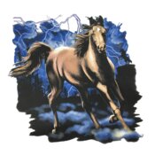 Wild Horse