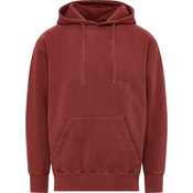 Men's Coastal Color™ Hooded Sweatshirt
